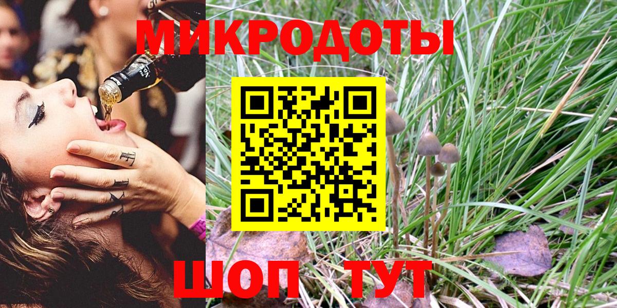 Набережные Челны  Галлюциногенные грибы Psilocybe  Вход с VPN 