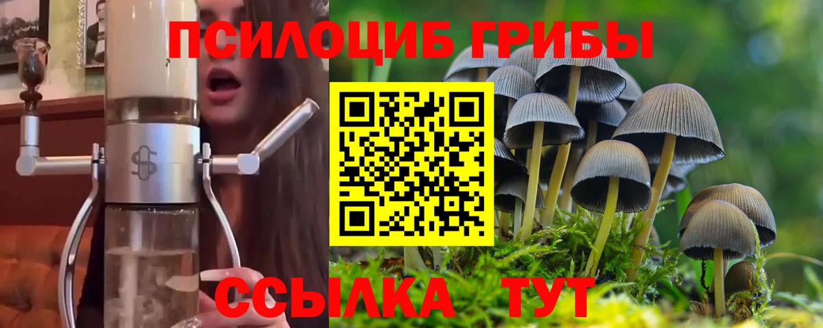 Псилоцибиновые грибы Psilocybine cubensis Набережные Челны